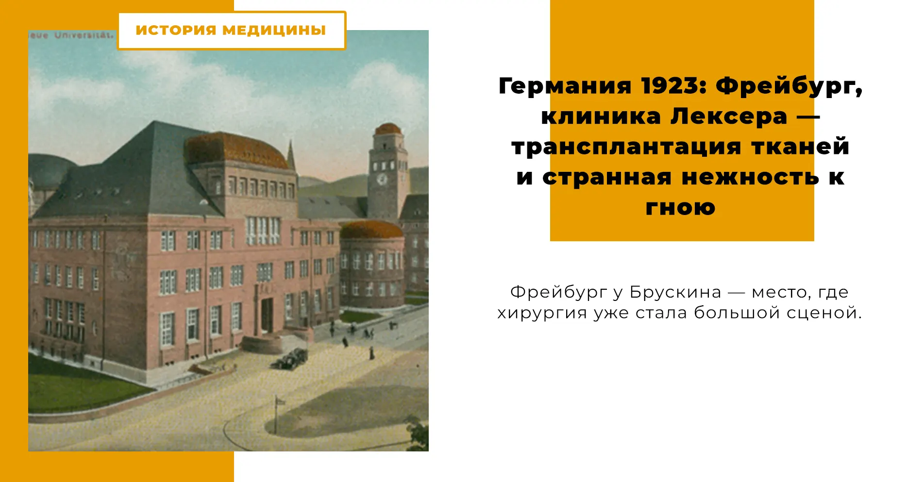 Современная германская хирургия V