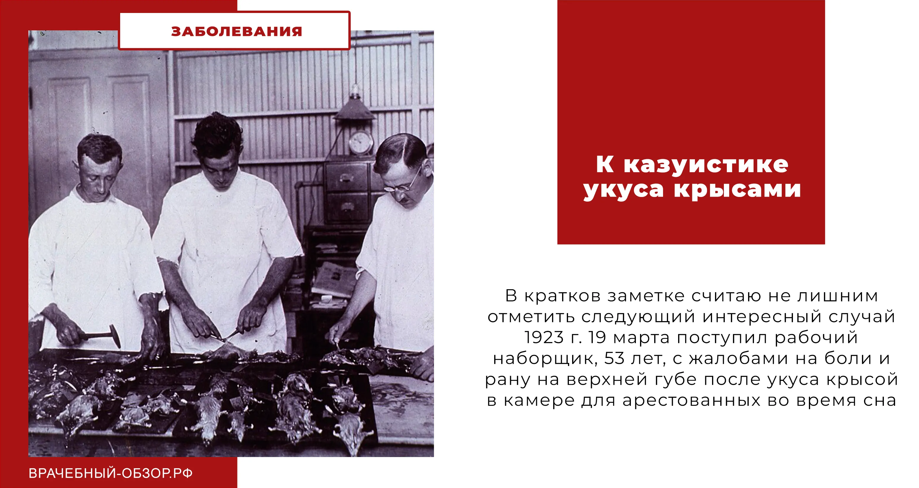 К казуистике укуса крысами