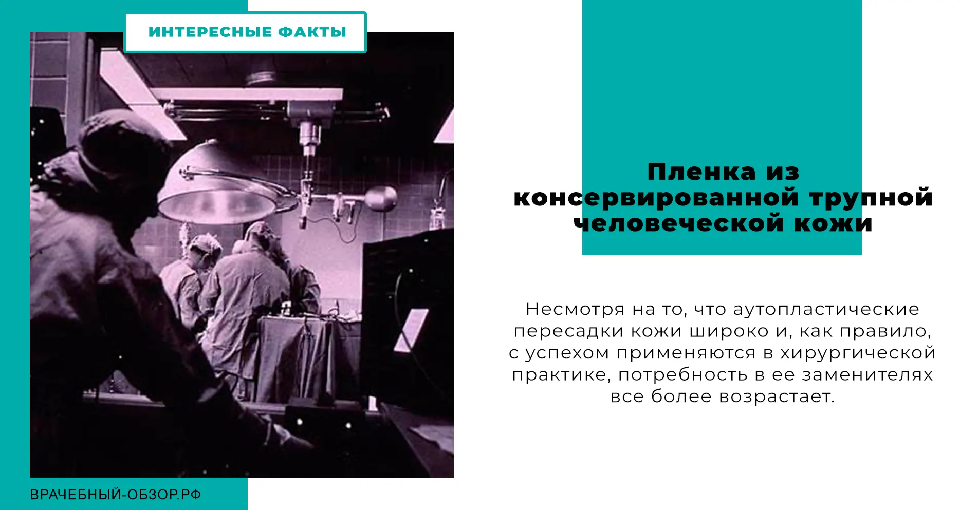 Пленка из консервированной трупной человеческой кожи