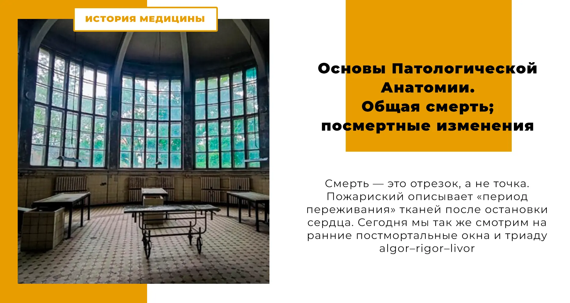 Основы Патологической Анатомии.  Общая смерть; посмертные изменения.