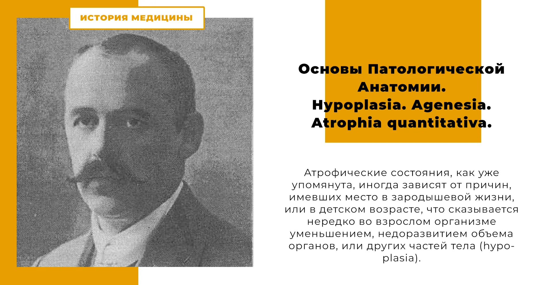 Основы Патологической Анатомии. Hypoplasia. Agenesia. Atrophia quantitativa.