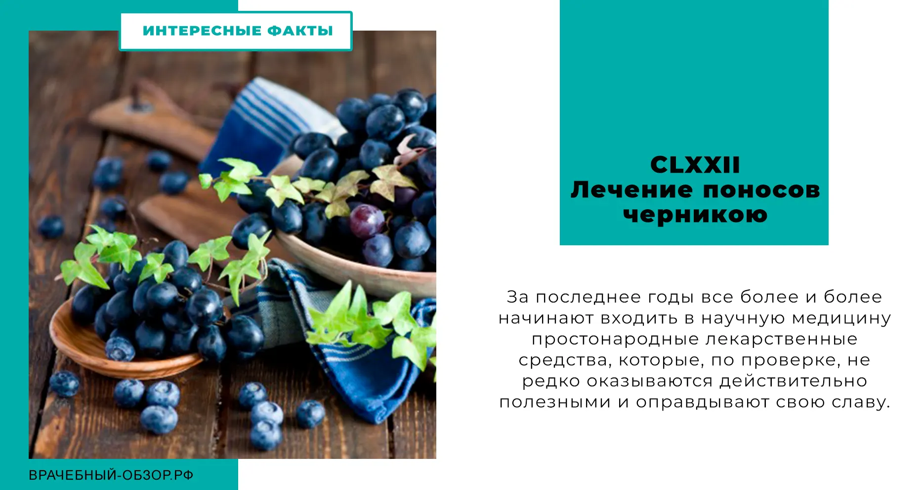 CLXXII. Лечение поносов черникою