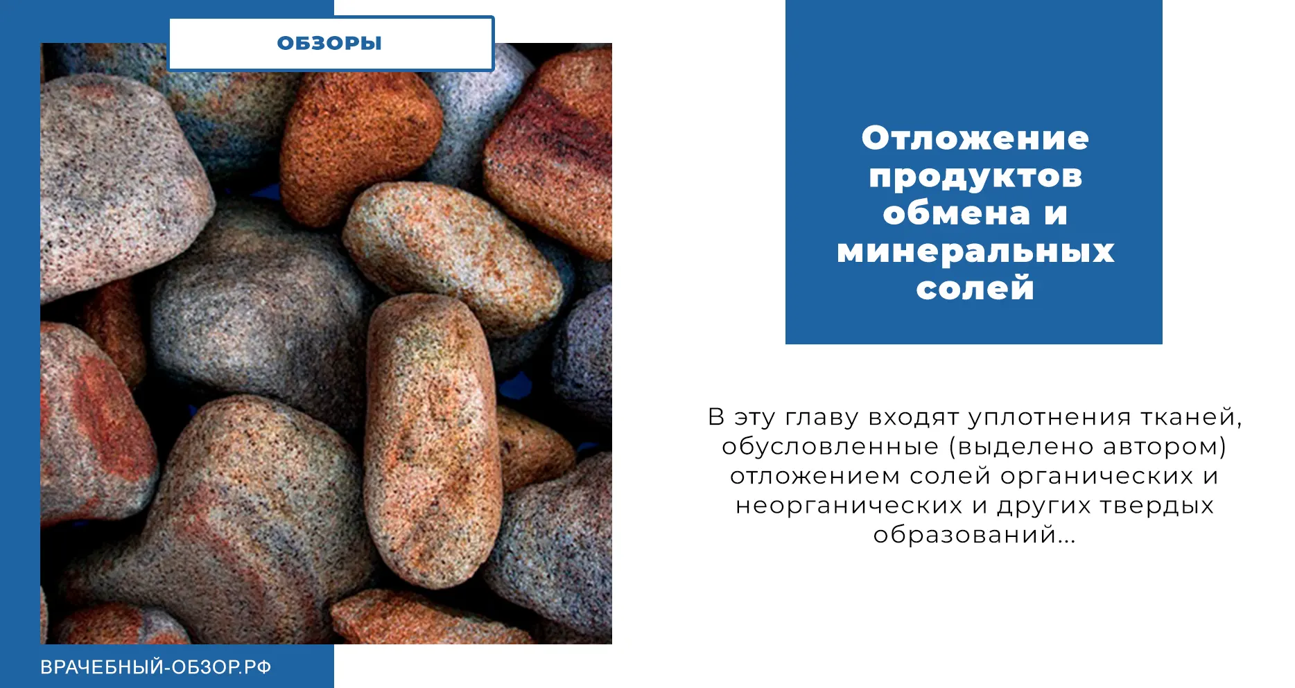 Отложение продуктов обмена и минеральных солей