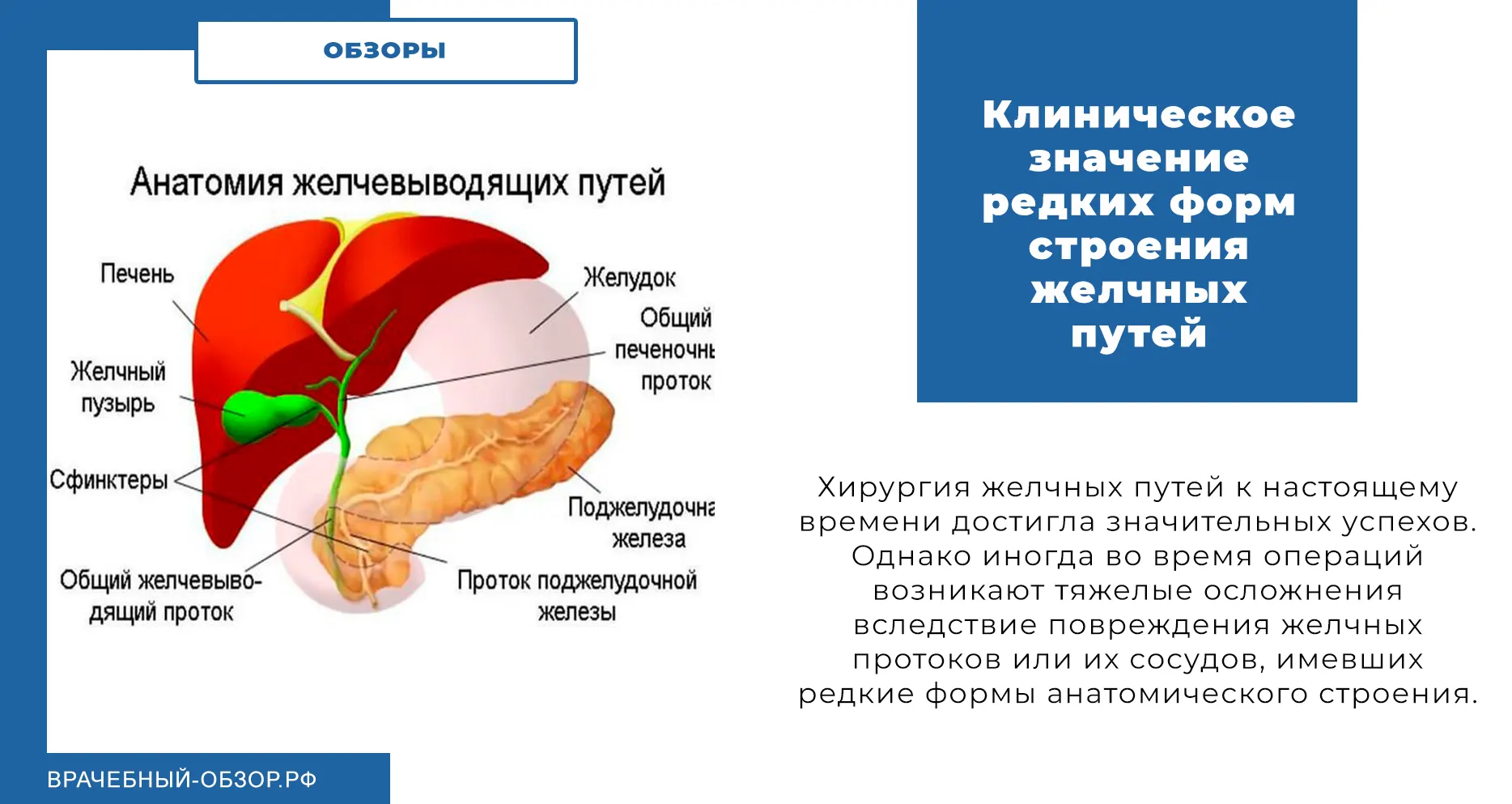 Клиническое значение редких форм строения желчных путей