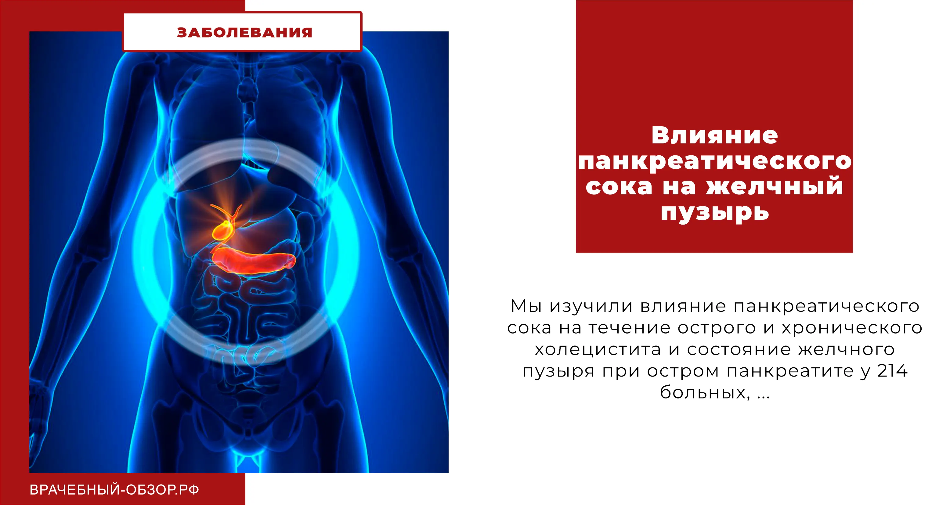 Влияние панкреатического сока на желчный пузырь