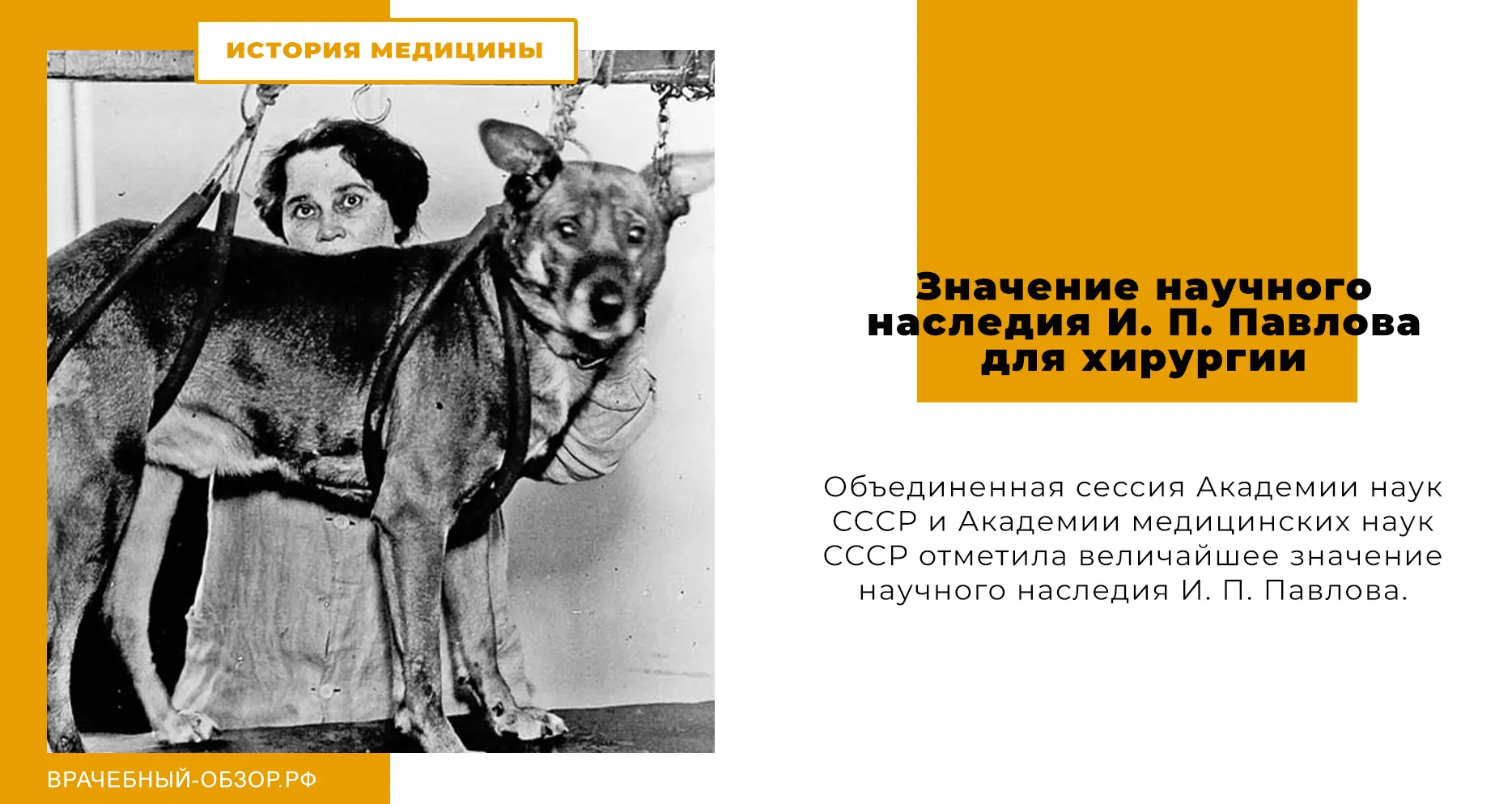 Значение научного наследия И. П. Павлова для хирургии