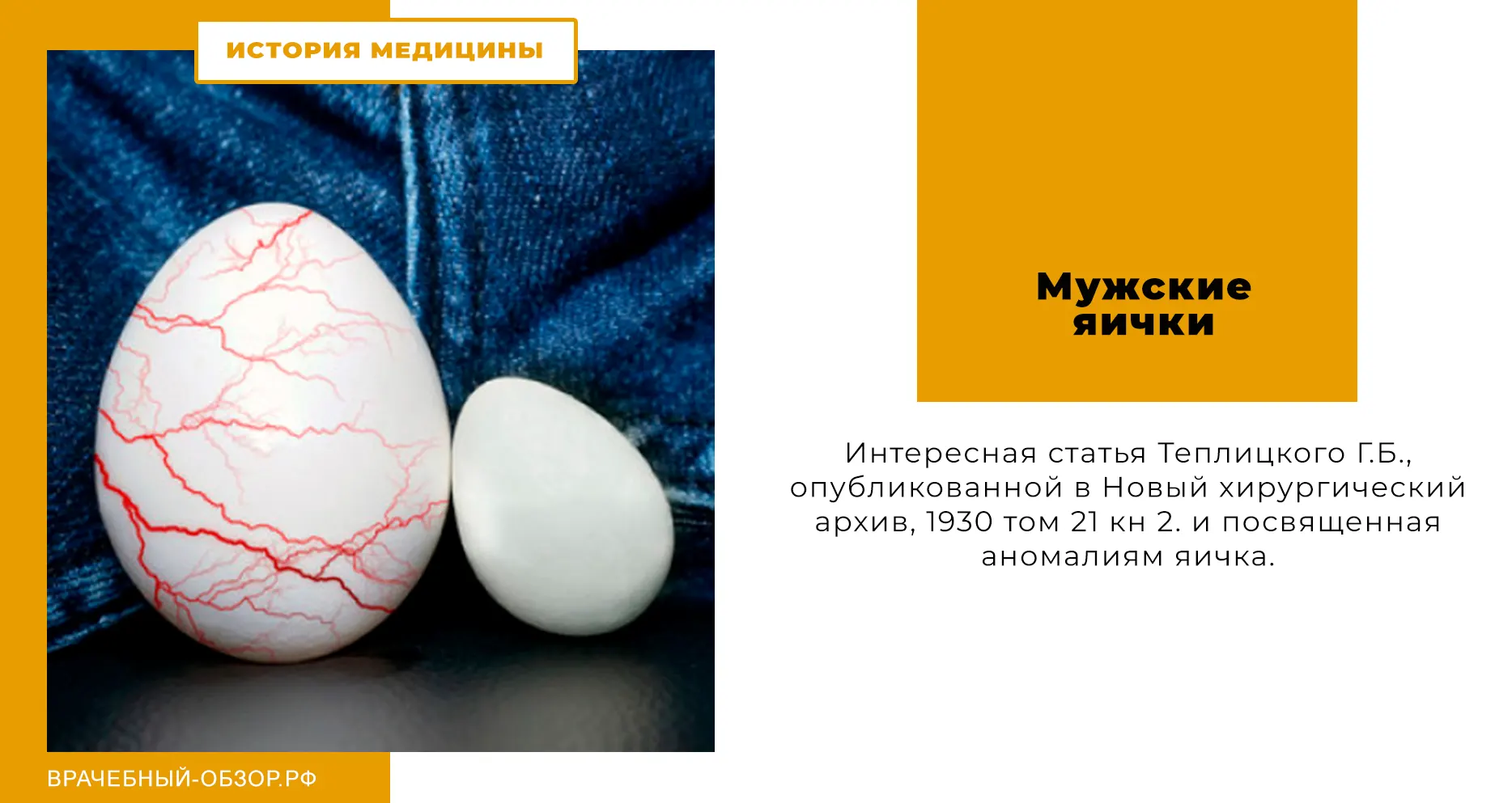 Мужские яички